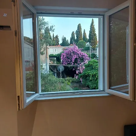 Apartment Romana